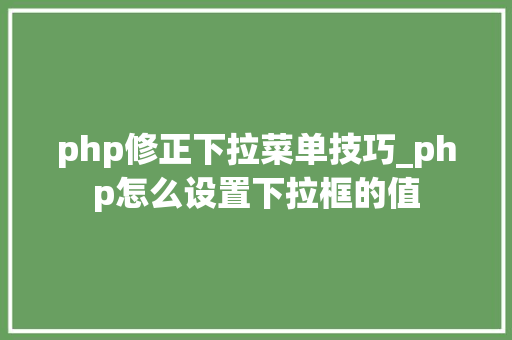 php修正下拉菜单技巧_php怎么设置下拉框的值