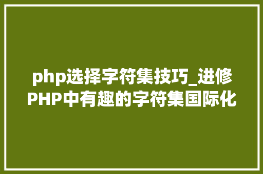 php选择字符集技巧_进修PHP中有趣的字符集国际化验证功能