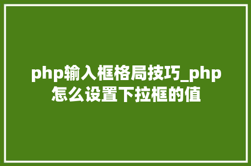 php输入框格局技巧_php怎么设置下拉框的值
