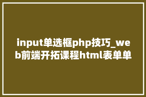 input单选框php技巧_web前端开拓课程html表单单选框