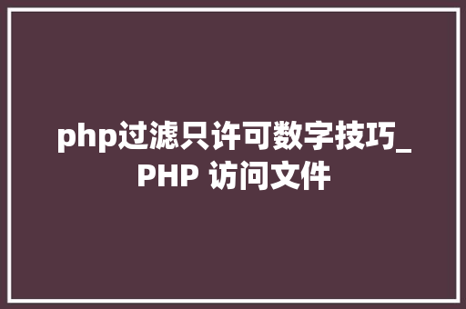 php过滤只许可数字技巧_PHP 访问文件