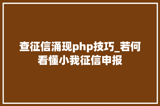 查征信涌现php技巧_若何看懂小我征信申报