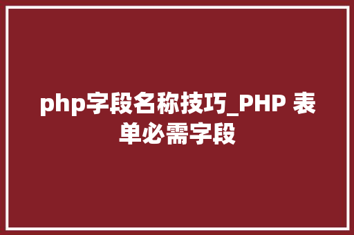 php字段名称技巧_PHP 表单必需字段