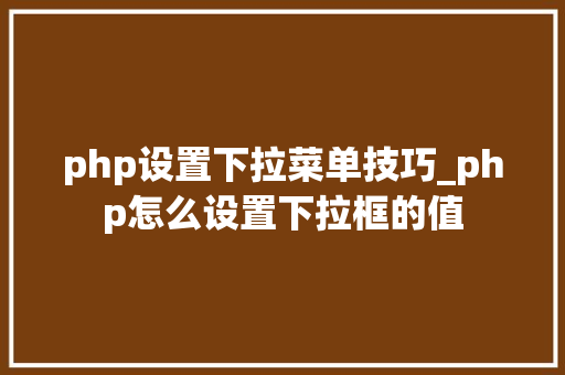 php设置下拉菜单技巧_php怎么设置下拉框的值
