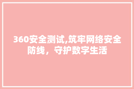 360安全测试,筑牢网络安全防线，守护数字生活