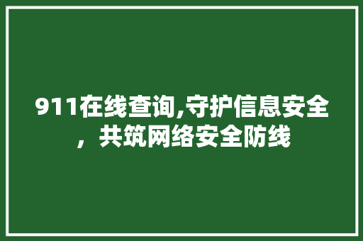911在线查询,守护信息安全，共筑网络安全防线