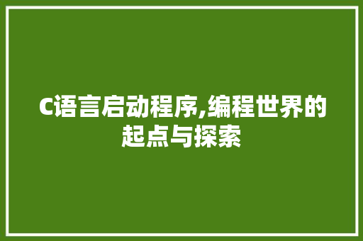 C语言启动程序,编程世界的起点与探索