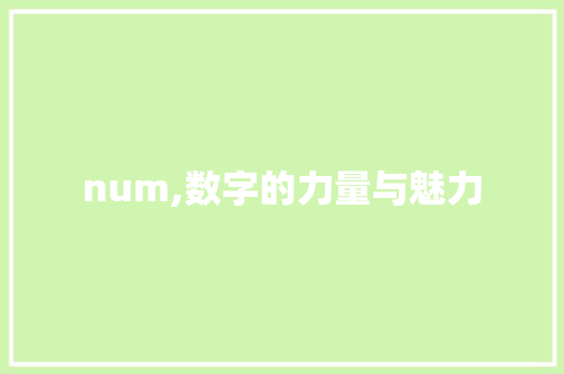 num,数字的力量与魅力