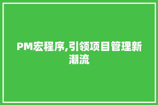 PM宏程序,引领项目管理新潮流