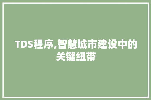 TDS程序,智慧城市建设中的关键纽带