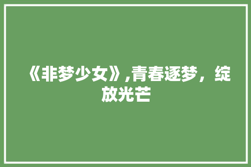 《非梦少女》,青春逐梦，绽放光芒