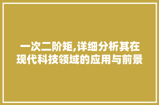 一次二阶矩,详细分析其在现代科技领域的应用与前景