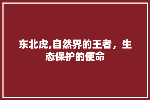 东北虎,自然界的王者，生态保护的使命