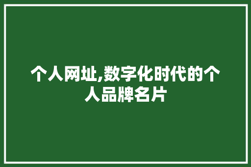 个人网址,数字化时代的个人品牌名片