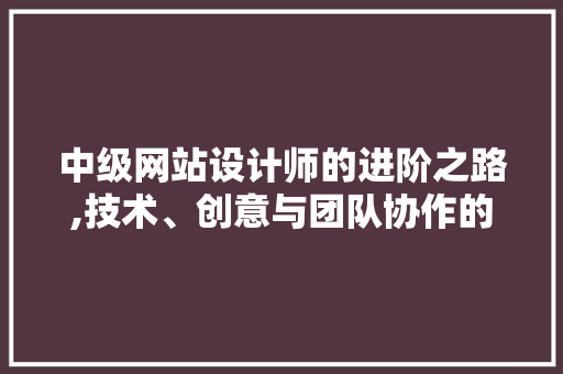 中级网站设计师的进阶之路,技术、创意与团队协作的融合