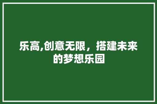 乐高,创意无限，搭建未来的梦想乐园