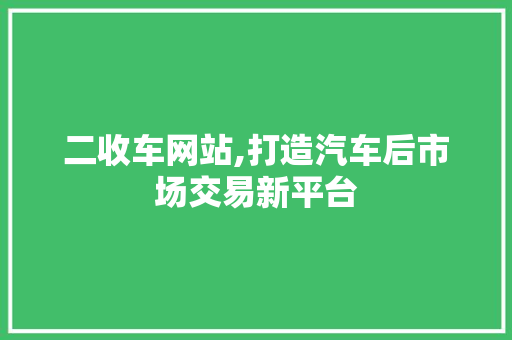 二收车网站,打造汽车后市场交易新平台