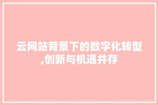 云网站背景下的数字化转型,创新与机遇并存