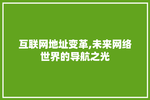 互联网地址变革,未来网络世界的导航之光