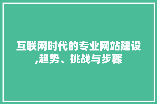 互联网时代的专业网站建设,趋势、挑战与步骤