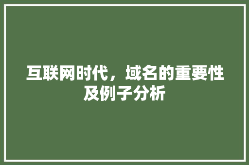 互联网时代，域名的重要性及例子分析