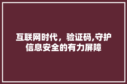 互联网时代，验证码,守护信息安全的有力屏障