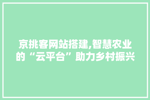 京挑客网站搭建,智慧农业的“云平台”助力乡村振兴