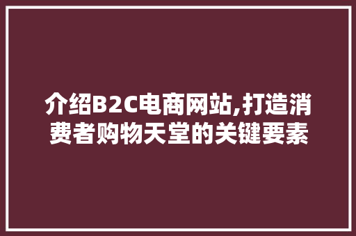 介绍B2C电商网站,打造消费者购物天堂的关键要素