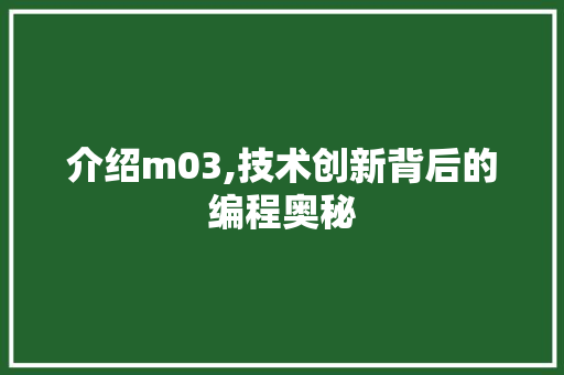 介绍m03,技术创新背后的编程奥秘