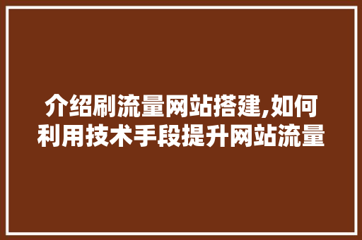 介绍刷流量网站搭建,如何利用技术手段提升网站流量