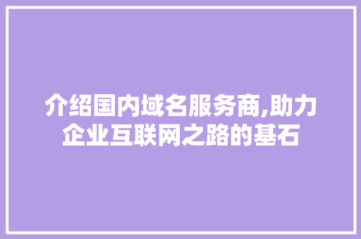 介绍国内域名服务商,助力企业互联网之路的基石