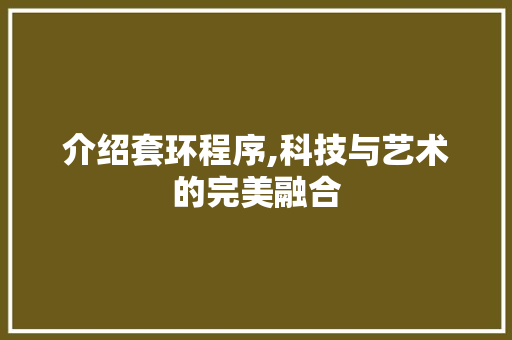 介绍套环程序,科技与艺术的完美融合
