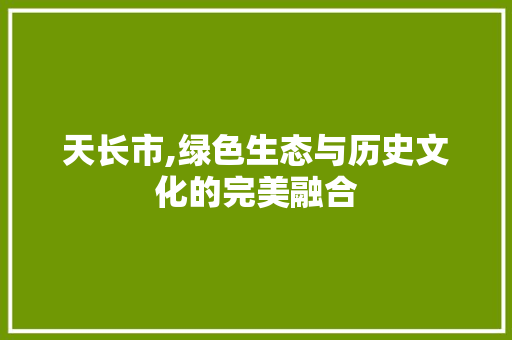 天长市,绿色生态与历史文化的完美融合