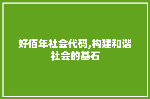 好佰年社会代码,构建和谐社会的基石