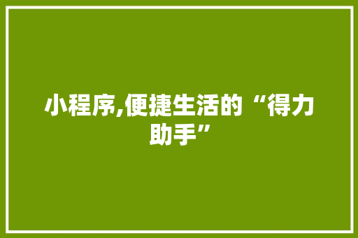 小程序,便捷生活的“得力助手”