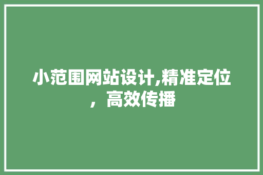 小范围网站设计,精准定位，高效传播