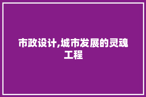 市政设计,城市发展的灵魂工程