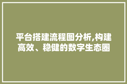 平台搭建流程图分析,构建高效、稳健的数字生态圈