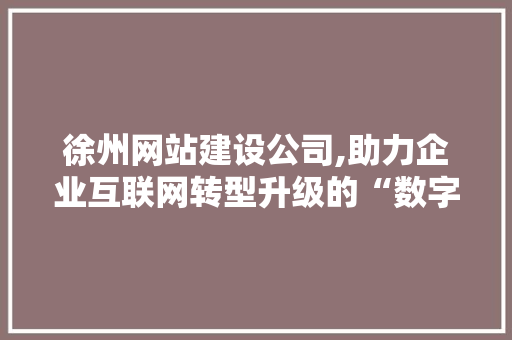 徐州网站建设公司,助力企业互联网转型升级的“数字领航者”