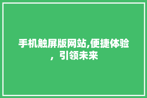 手机触屏版网站,便捷体验，引领未来