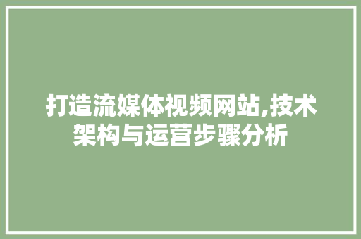 打造流媒体视频网站,技术架构与运营步骤分析