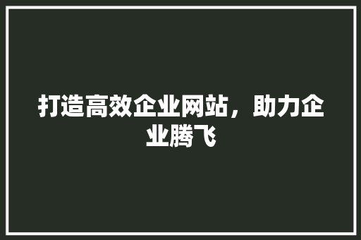 打造高效企业网站，助力企业腾飞