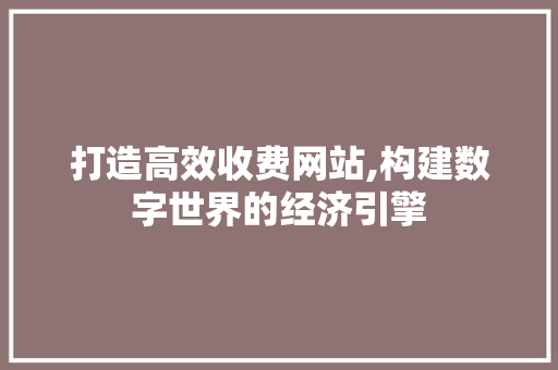 打造高效收费网站,构建数字世界的经济引擎