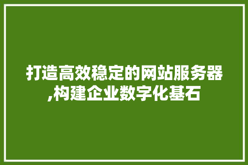 打造高效稳定的网站服务器,构建企业数字化基石
