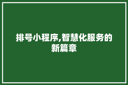 排号小程序,智慧化服务的新篇章