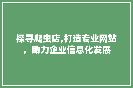 探寻爬虫店,打造专业网站，助力企业信息化发展