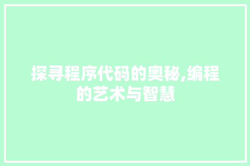 探寻程序代码的奥秘,编程的艺术与智慧
