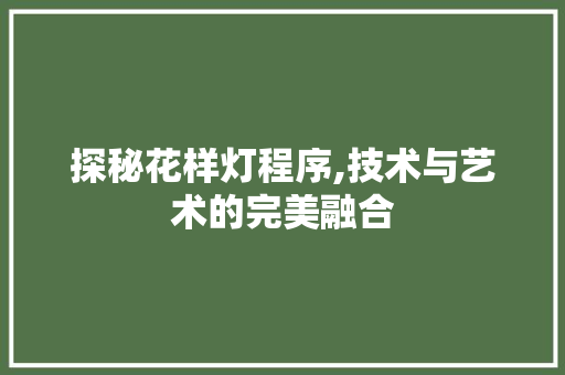 探秘花样灯程序,技术与艺术的完美融合