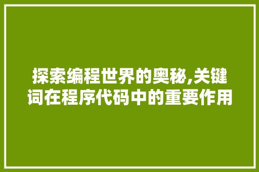 探索编程世界的奥秘,关键词在程序代码中的重要作用