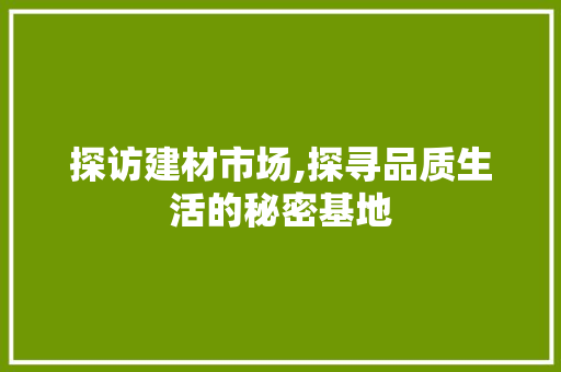 探访建材市场,探寻品质生活的秘密基地